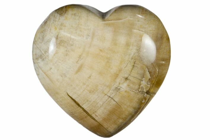 Polished, Triassic Petrified Wood Heart - Madagascar #115517